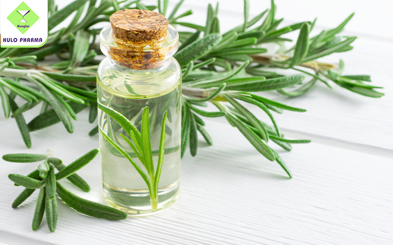 Tea Tree Oil (tinh dầu tràm trà)