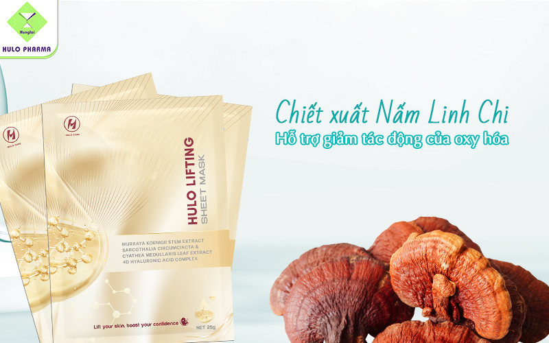 Chiết xuất Nấm Linh Chi