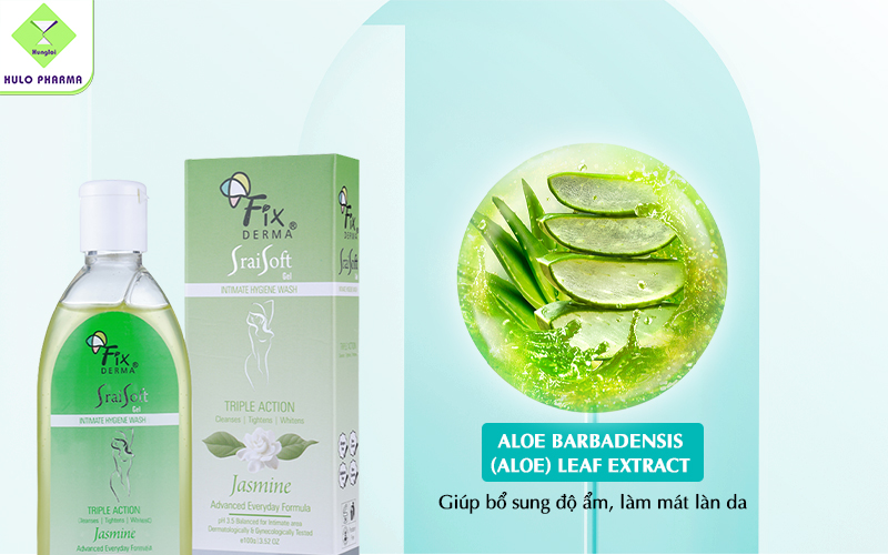 Aloe Barbadensis (Aloe) Leaf Extract – Chiết xuất nha đam