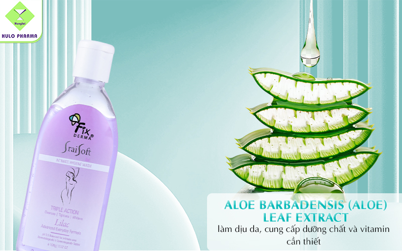 Aloe Barbadensis (Aloe) Leaf Extract