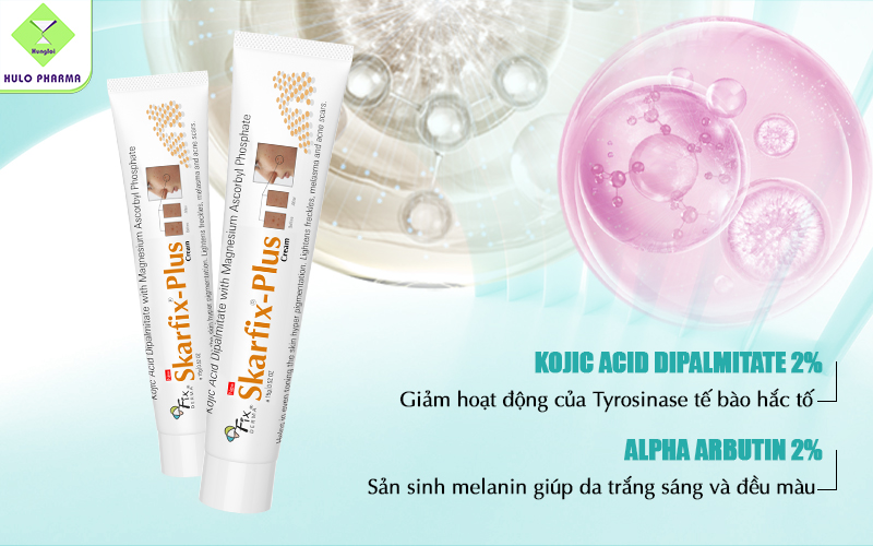Kojic Acid Dipalmitate (2%) và Alpha Arbutin (2%)