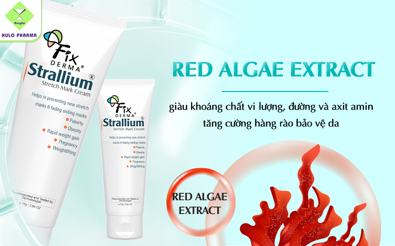 Red Algae Extract (Chiết xuất tảo đỏ)