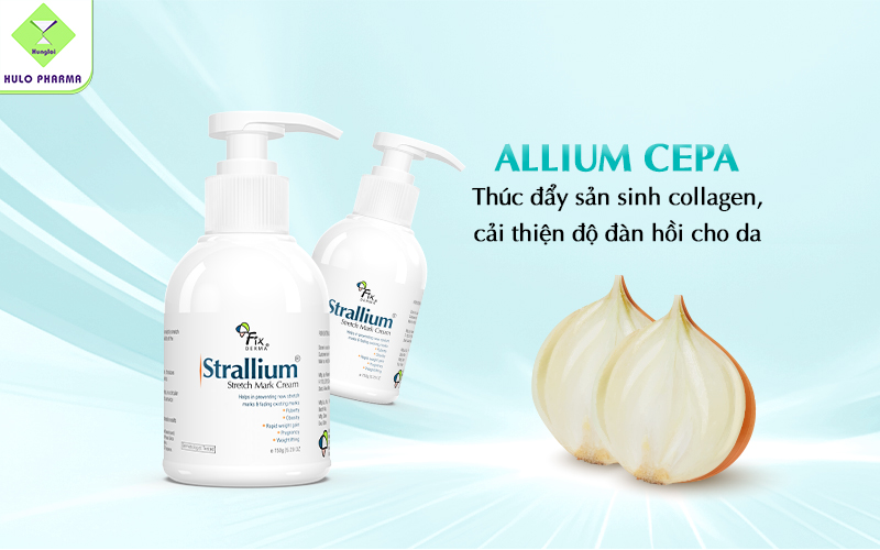 Allium Cepa (Chiết xuất củ hành tây)