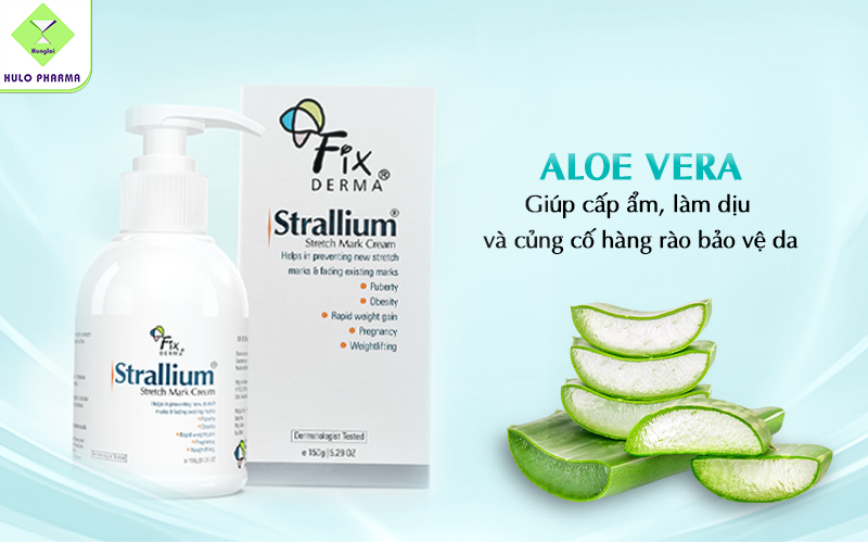 Aloe Vera (Nha đam)