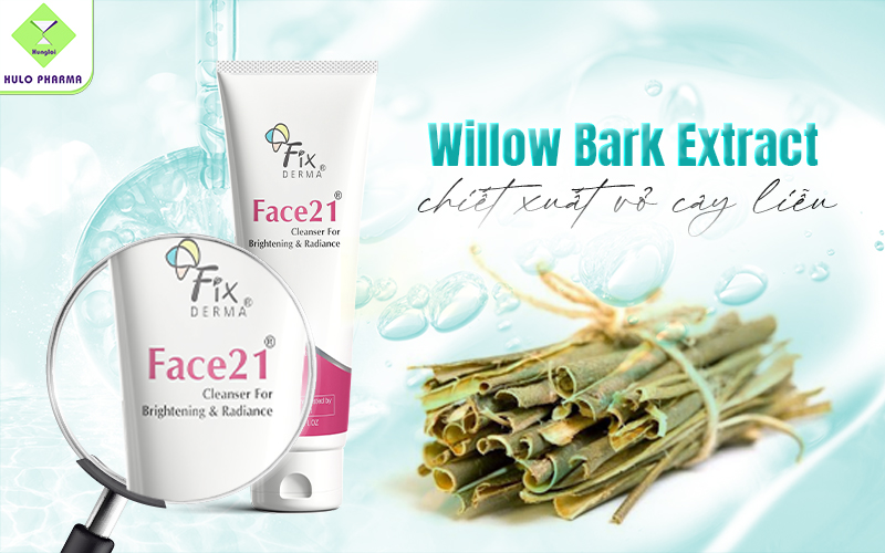 Willow Bark Extract (Chiết xuất vỏ cây liễu)
