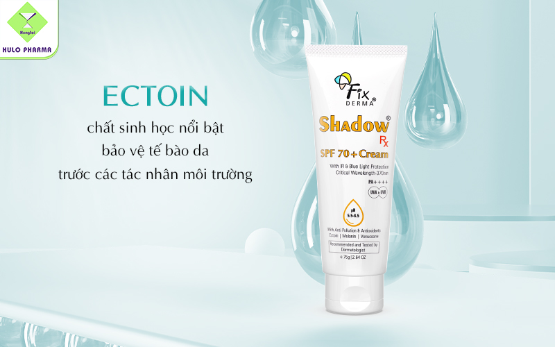 Ectoin bảo vệ trước bụi mịn PM2.5, tia UV, nhiệt độ và độ ẩm thay đổi thất thường