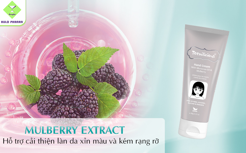 Mulberry Extract (Chiết xuất dâu tằm)