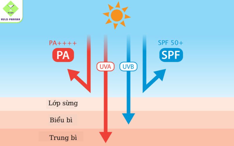 Có nên dùng kem chống nắng có chỉ số cao?
