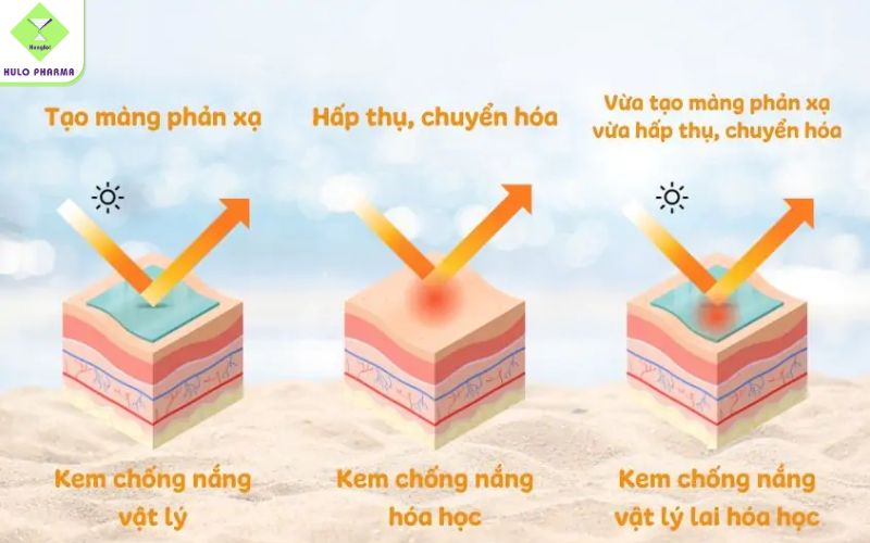 Các loại kem chống nắng