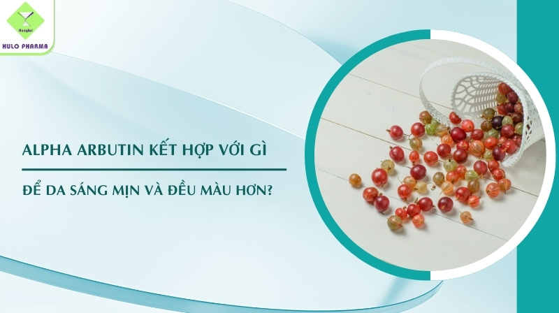 Alpha Arbutin Kết Hợp Với Gì
