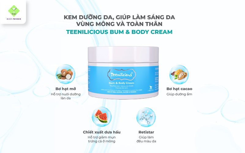 Các thành phần chính