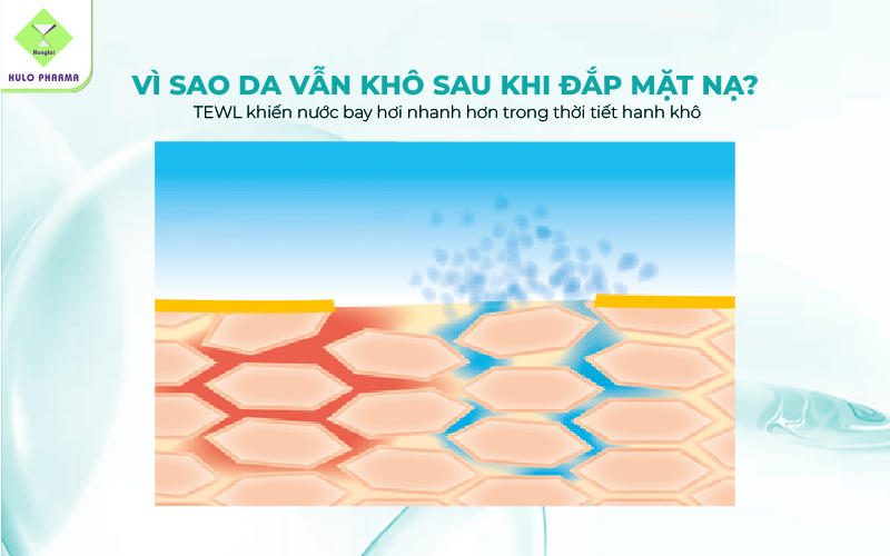 Trong mùa Thu - Đông, độ ẩm không khí thấp khiến da dễ mất nước qua biểu bì, vì vậy da cần được khóa ẩm sau khi đắp mặt nạ.