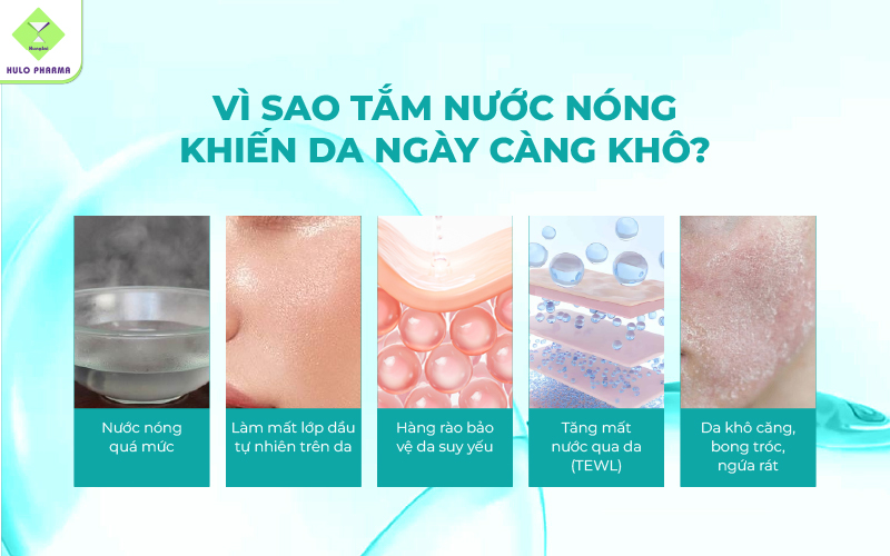 Da không chỉ cần được cấp ẩm mà còn cần duy trì lớp màng bảo vệ tự nhiên để giữ nước hiệu quả.